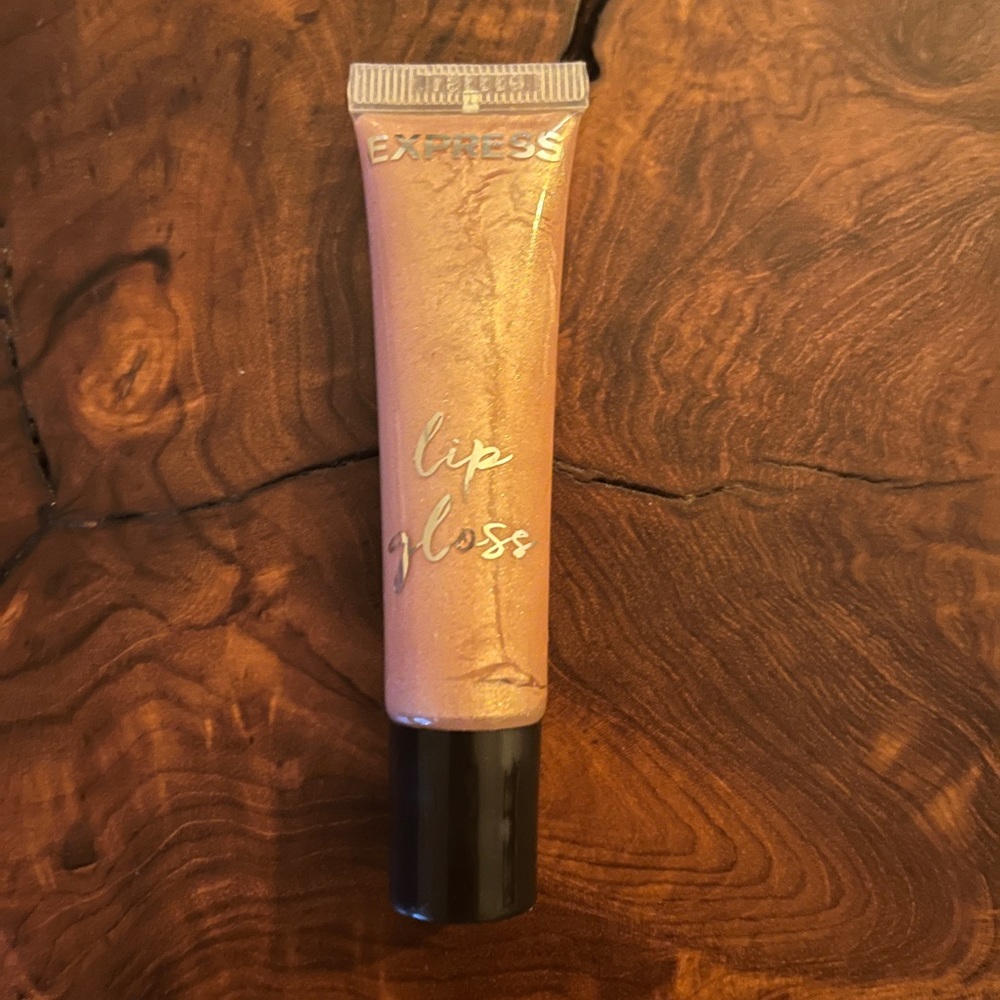 New Hard to Find Express Lip Gloss Rustic Rose
